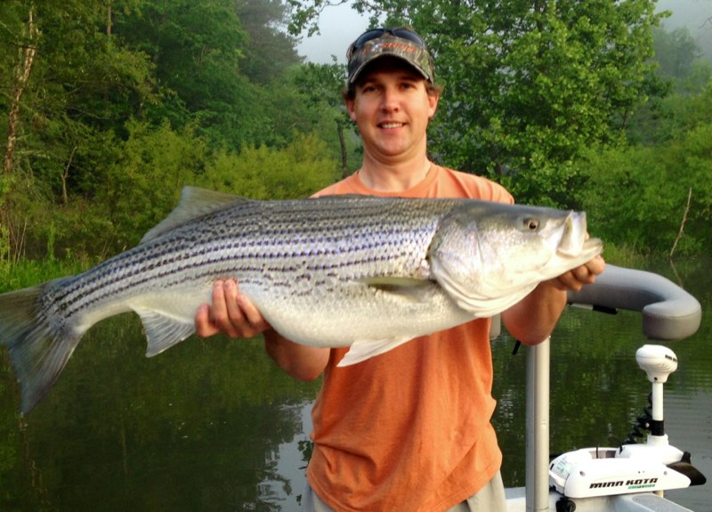 Top 10 Fly Fishing Guides In North Blue Sky Cabin Rentals